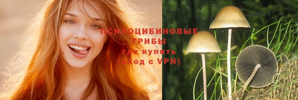 молекула духа Бугульма
