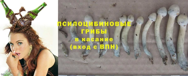 ECSTASY Бронницы
