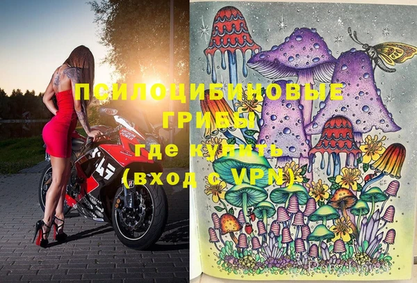 марки lsd Бородино