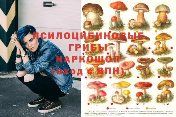 ECSTASY Бронницы