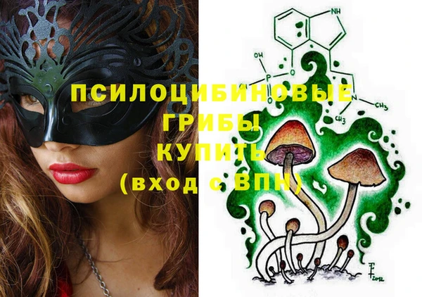 ECSTASY Бронницы