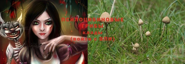 марки lsd Бородино