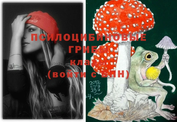 прущие грибы Верхний Тагил
